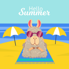 Vector illustration of funny alpaca llama in sunglasses sunbathing in summer vacation © dis_lively