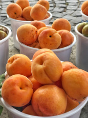 organic ripe apricot fruits at a market