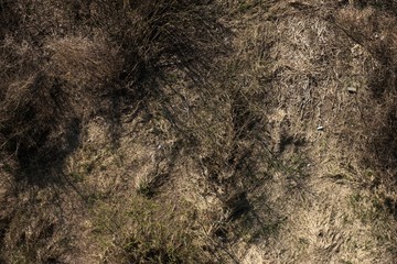 Moody Drone Photo of Colorful Moorland in Early Summer Sunrise