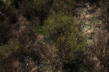 Moody Drone Photo of Colorful Moorland in Early Summer Sunrise