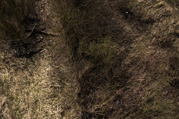 Aerial top view, countryside spring panorama of small quiet river on sunny day