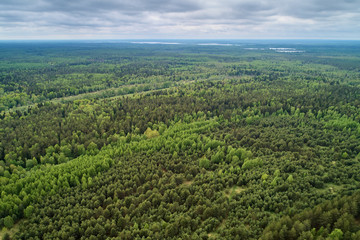 Fototapeta na wymiar Aerial photography from the drone. Landscape with green forest