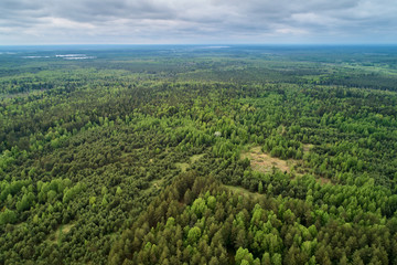 Aerial photography from the drone. Landscape with green forest