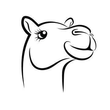 Sketch camel. Camel head symbol. Camel sign Isolated on white background. Vector Illustration