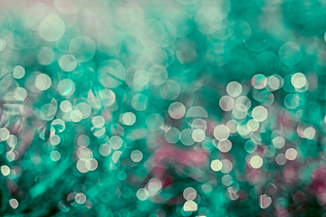 blur grass and dew drop fall on green leaves and sun light in morning