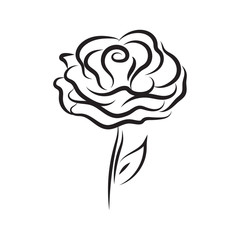 Abstract Rose Illustration