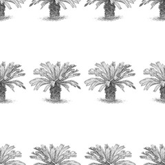 Fototapeta na wymiar Seamless background of sketches of tropical palm trees