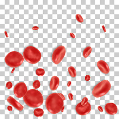 Red blood cell flowing in vein or artery. Vector illustration on transparent background. Healthcare and medical zoom concept.