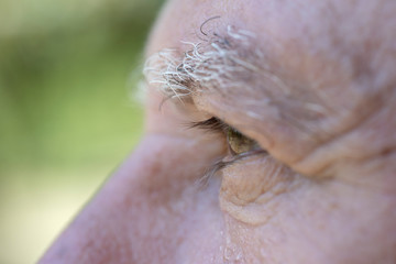 Closeup eye of caucasian old man. Portrait of old man outdoors. Caucasian male face background, close up eyes, macro