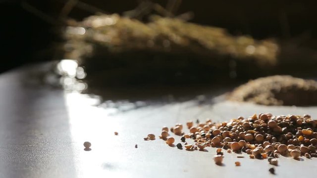 organic and natural long-term farming animal feed