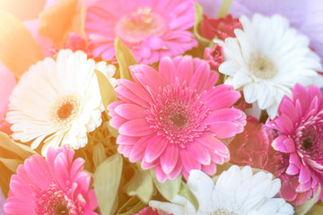 Obraz na płótnie Canvas Floral background, pink flowers, toned