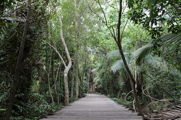 on pulau ubin (singapore © frdric