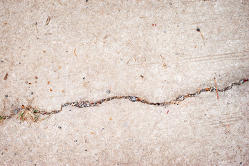 Your text here. Concrete grey textured background.