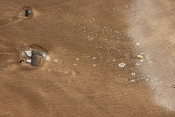 Beach Sand Closeup with Pebbles