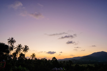 Beautiful tropical sunset with silhouettes of palm trees.