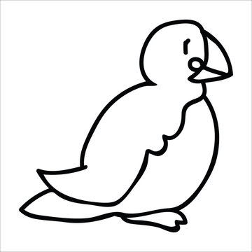 recommend clip art: Cute puffin sitting line art cartoon vector illustration motif set. Hand drawn isolated seaside wildlife elements clipart for nautical birdwatching blog, bird graphic, feather web buttons.