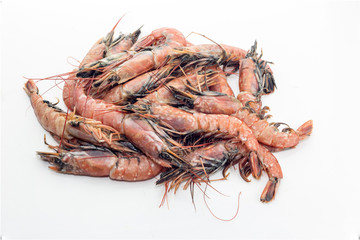 Shrimps on a white background