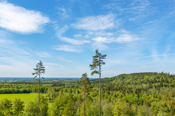 Obraz premium Landscape view with forest and field in the summer