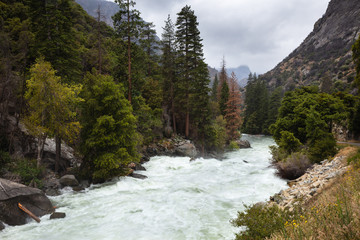 Fast flowing mountain river flows though forest in Kings Canyon, California.
