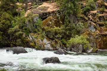Fototapeten Wald Fluss Fast flowing mountain river against forested mountain slope background.  © andrewhagen