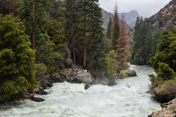 Kings River rapids flowing fast through mountain forest during a storm