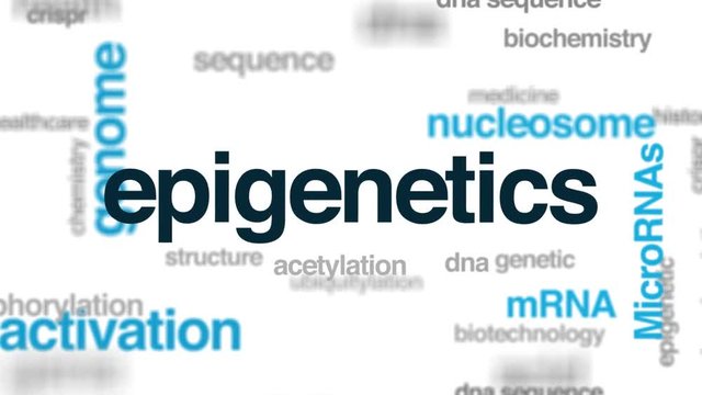 Epigenetics animated word cloud. Kinetic typography.
