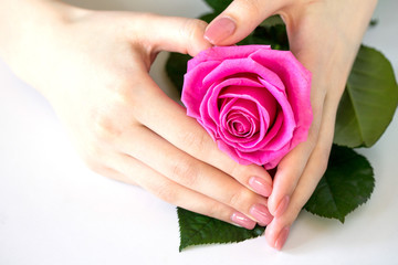 Beautiful manicured woman's nails with pink polish isolated. Nails care. Manicure, pedicure beauty salon. Beautiful rose red blossoms. Free space for your text.