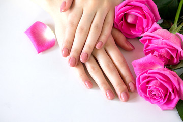 Fototapeta premium Beautiful manicured woman's nails with pink polish isolated. Nails care. Manicure, pedicure beauty salon. Beautiful rose red blossoms. Free space for your text.