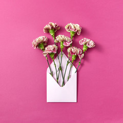 Congratulation card with carnation flowers in an envelope on a magenta background.