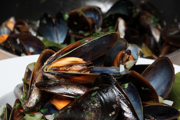 In Weissweingemüsesud gegarte Miesmuscheln