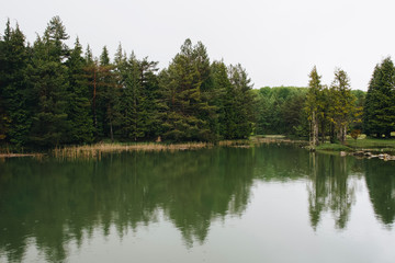 Fototapeta na wymiar Beautiful forest in a small lake in Opakua, Basque Country, Spain