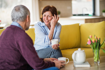 Affectionate senior couple in love sitting on sofa indoors at home, talking.