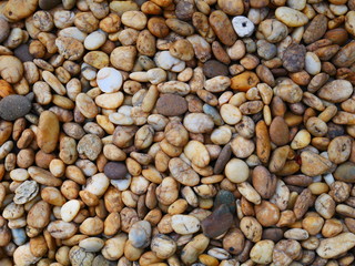 brown pebble stone background