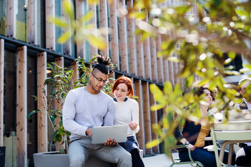 Fototapeta premium Group of young businesspeople using laptop in courtyard, start-up concept.