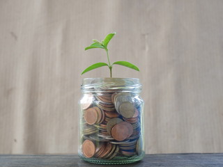 concept save money, coins in a glass jar white background