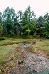  Beautiful forest in a small lake in Opakua, Basque Country, Spain
