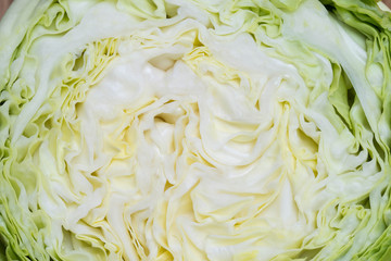texture of cabbage cut in half