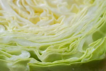 texture of cabbage cut in half