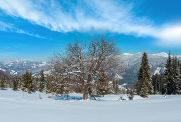 Winter Carpathian mountains view, Ukraine