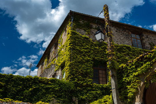 Lamothe Images Browse 53 Stock Photos, Vectors, and Video Adobe Stock