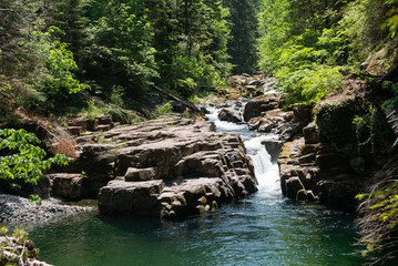 Scenic Oregon forest landscape with small river and rocks