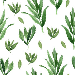 watercolor seamless pattern with green mint leaves on white background