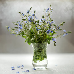 Image with blue flowers.