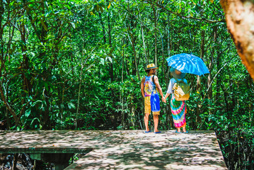 Asian couple travel relax travel nature in the holiday. Nature Study in the forest. happy couple...