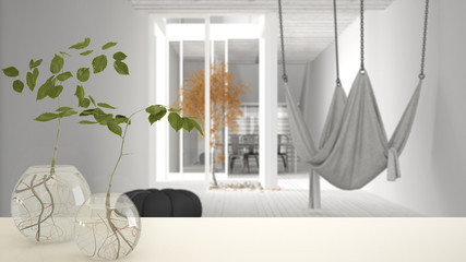 White table top or shelf with glass vase with hydroponic plant, ornament, root of plant in water, branch in vase, house plant, modern blurred living room background, interior design