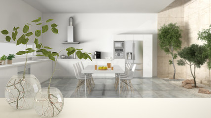 White table top or shelf with glass vase with hydroponic plant, ornament, root of plant in water, branch in vase, house plant, modern blurred kitchen in the background, interior designv