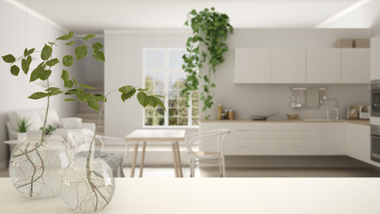 White table top or shelf with glass vase with hydroponic plant, ornament, root of plant in water, branch in vase, house plant, modern blurred kitchen in the background, interior design
