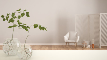 White table top or shelf with glass vase with hydroponic plant, ornament, root of plant in water, branch in vase, house plant, modern blurred living room background, interior design