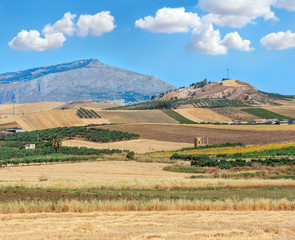 Fototapeta na wymiar Sicily summer agriculture countryside, Italy