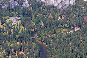 River View and Pine trees from Glacier Point in Yosemite National Park, California, USA.
